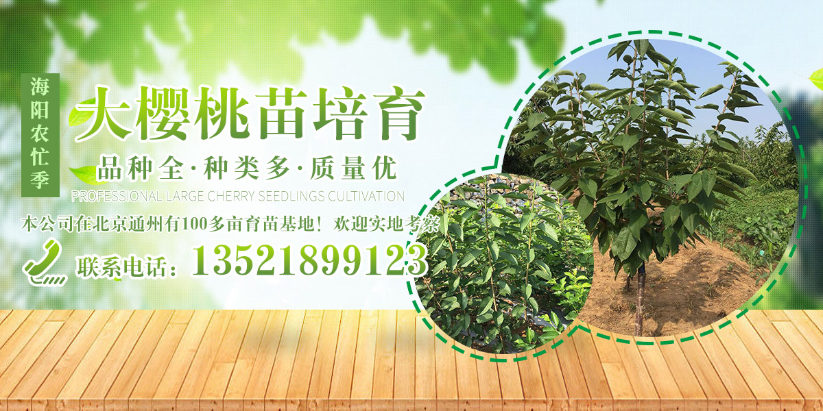 泰安萬通復合材料有限公司