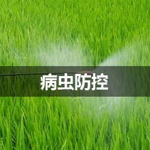 泰安萬通復合材料有限公司