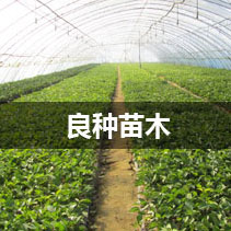 泰安萬通復合材料有限公司